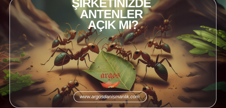 Karıncalardan neyimiz eksik?